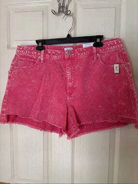 Time and Tru Frayed Denim Shorts